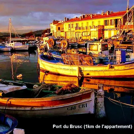 - Les Pieds Dans L'eau